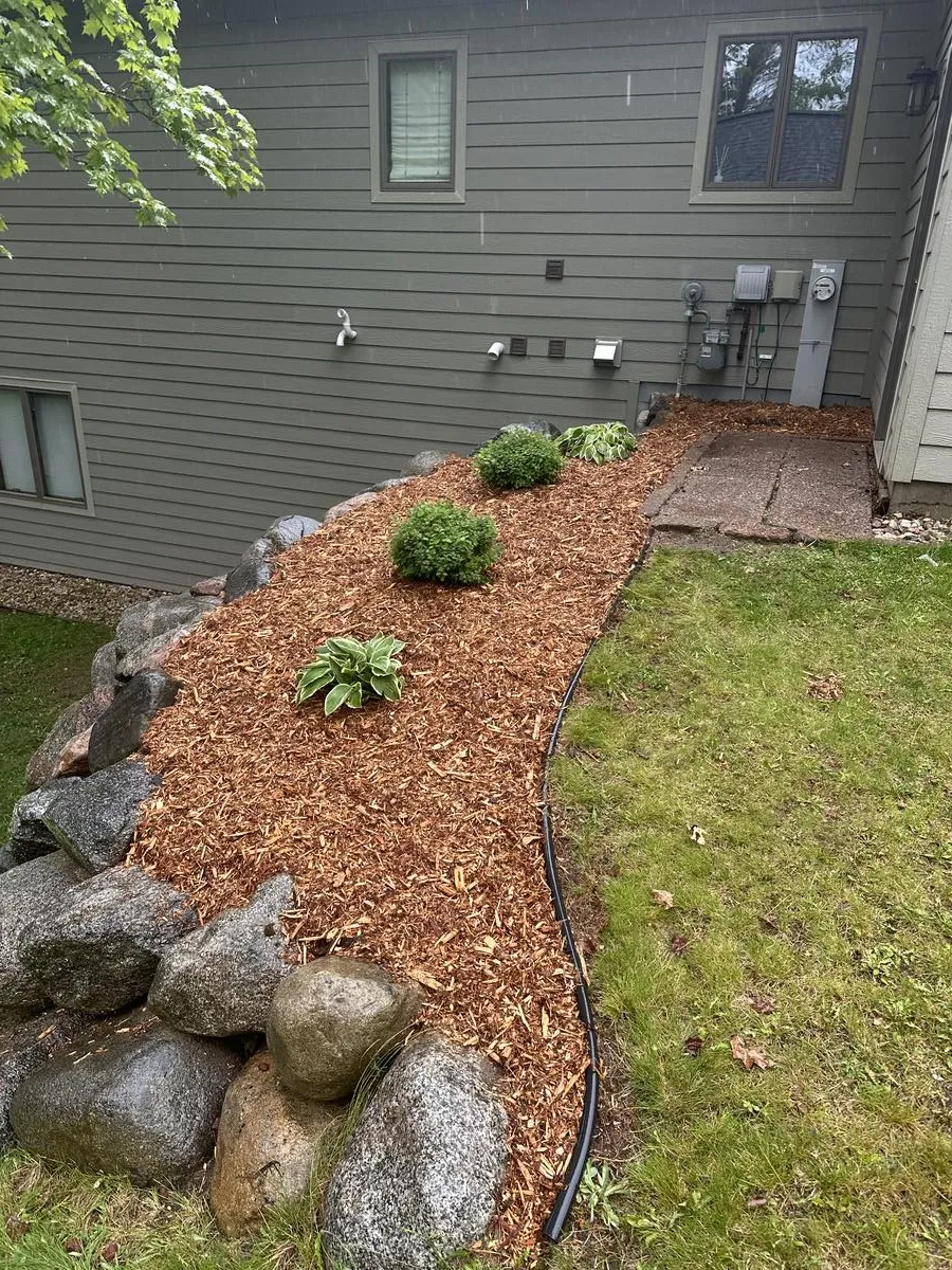 Project 1 after transformation